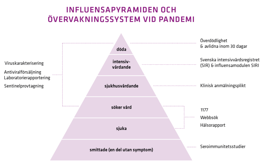 Figuren visar system som används vid ökande allvarlighet, från smittade utan symptom till intensivvårdade och avlidna.